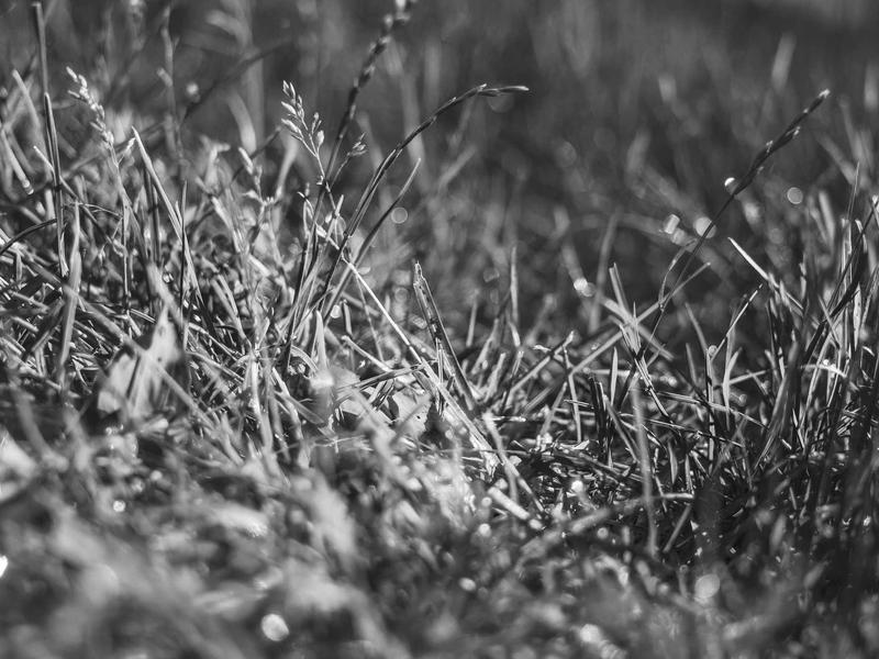 sudoku weekly challenge screenshot 5